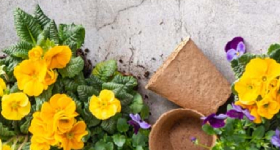 Agro-Market Промокод на знижку – 10% на замовлення до 2000 грн agro-market.net