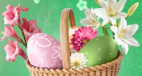 Florium Великондій розпродаж до – 60% на вибрані квіти та рослини на florium.ua